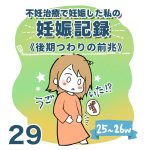 【29】妊娠記録編　後期つわりの前兆