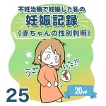 【25】妊娠記録編　赤ちゃんの性別判明