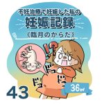 【43】妊娠記録編　臨月のからだ