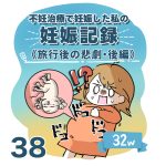 【38】妊娠記録編　旅行後の悲劇・後編
