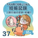 【37】妊娠記録編　旅行後の悲劇・前編