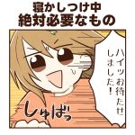 寝かしつけ中絶対必要なもの